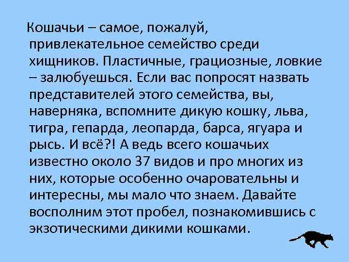 Кошачьи – самое, пожалуй, привлекательное семейство среди хищников. Пластичные, грациозные, ловкие – залюбуешься. Если