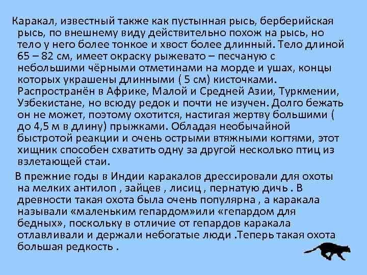 Каракал, известный также как пустынная рысь, берберийская рысь, по внешнему виду действительно похож на