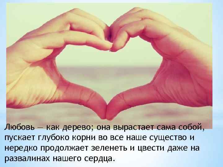 Любовь — как дерево; она вырастает сама собой, пускает глубоко корни во все наше