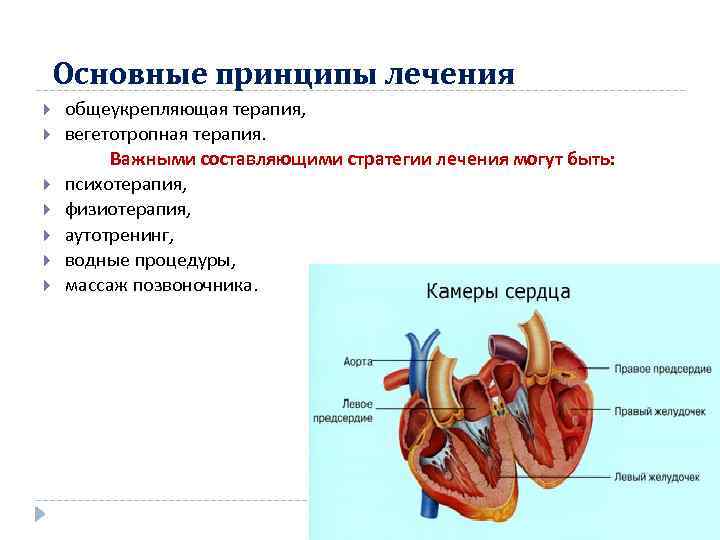 Основные принципы лечения общеукрепляющая терапия, вегетотропная терапия. Важными составляющими стратегии лечения могут быть: психотерапия,