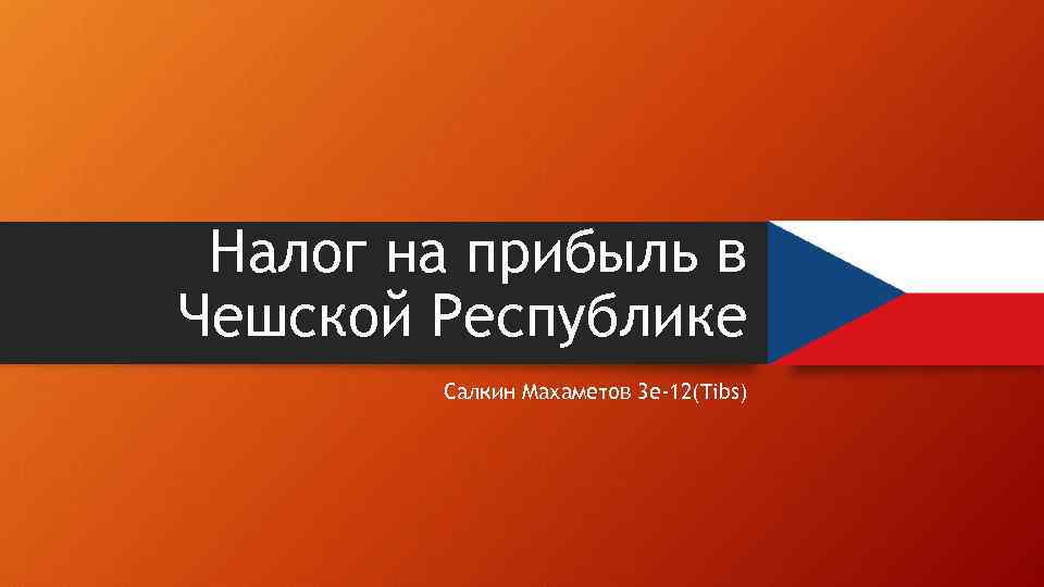 Налог на прибыль в Чешской Республике Салкин Махаметов 3 е-12(Tibs) 