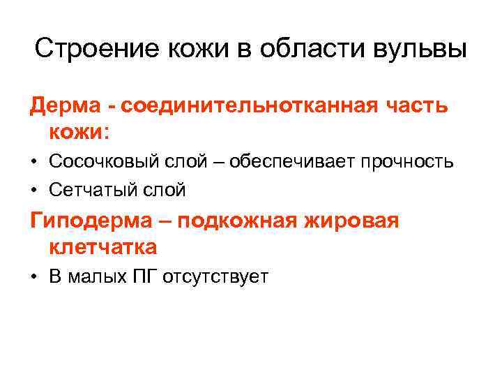 Строение кожи в области вульвы Дерма - соединительнотканная часть кожи: • Сосочковый слой –
