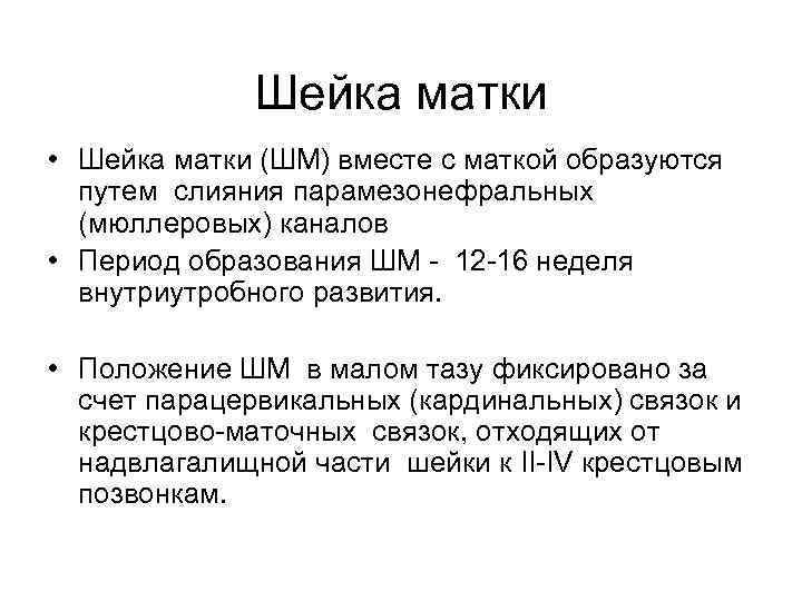 Шейка матки • Шейка матки (ШМ) вместе с маткой образуются путем слияния парамезонефральных (мюллеровых)