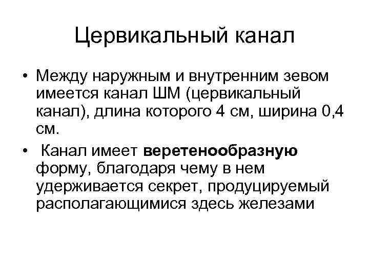 Цервикальный канал • Между наружным и внутренним зевом имеется канал ШМ (цервикальный канал), длина