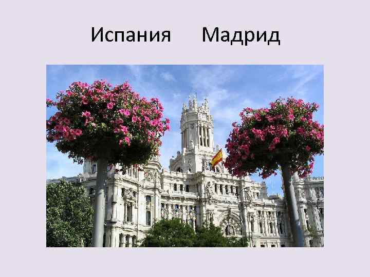 Испания Мадрид 