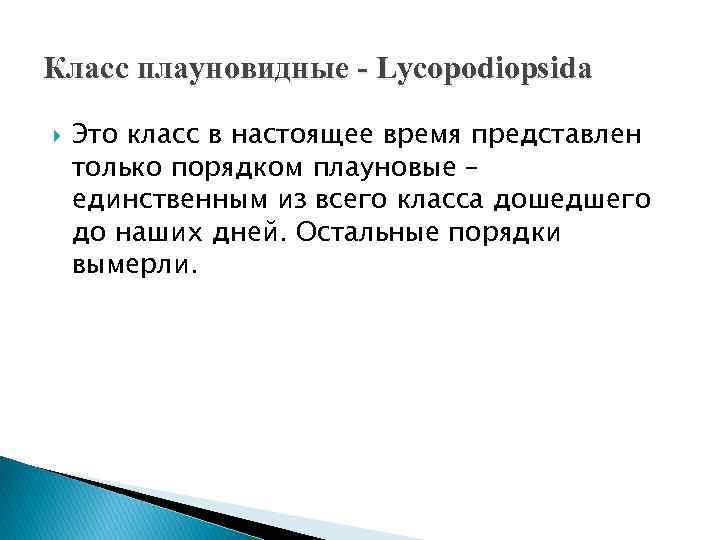 Класс плауновидные - Lycopodiopsida Это класс в настоящее время представлен только порядком плауновые –