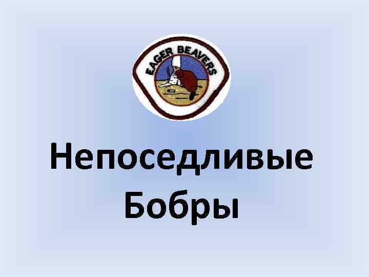 Непоседливые Бобры 