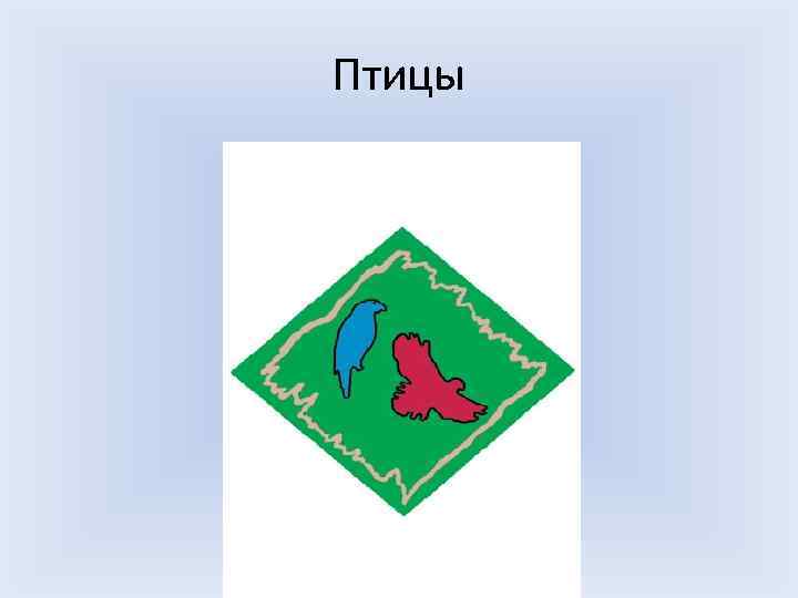 Птицы 