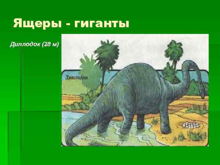 Ящеры - гиганты Диплодок (28 м) 