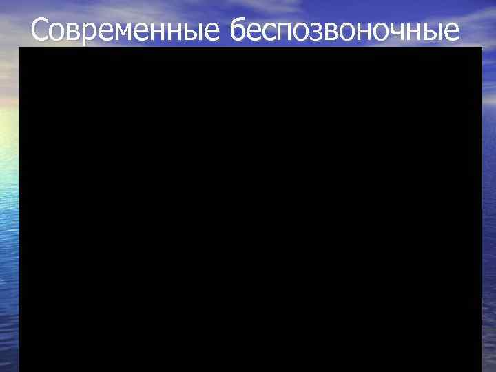 Современные беспозвоночные 