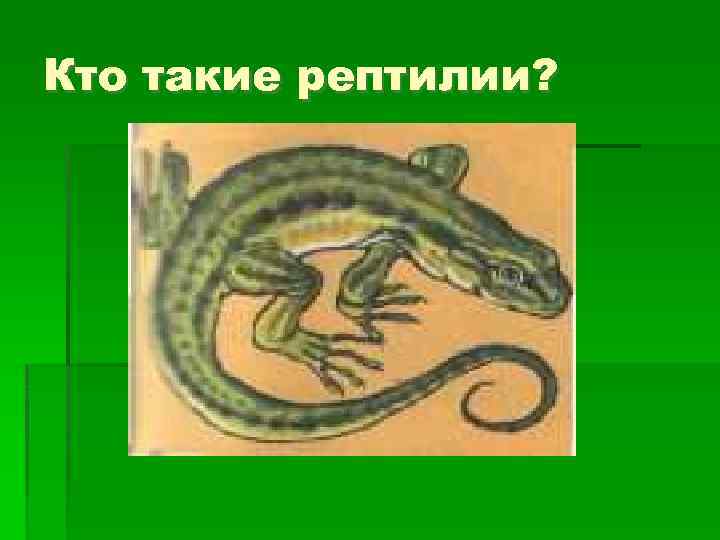 Кто такие рептилии? 