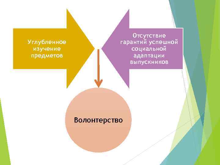 Углубленное изучение предметов Отсутствие гарантий успешной социальной адаптации выпускников Волонтерство 