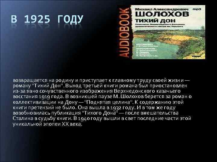 возвращается на родину и приступает к главному труду своей жизни — роману 