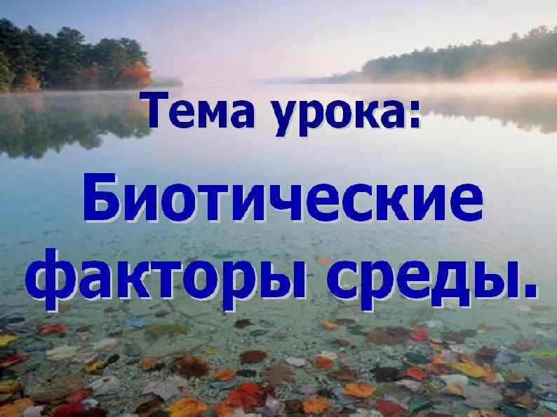 Предложение стратегии Заголов cок 