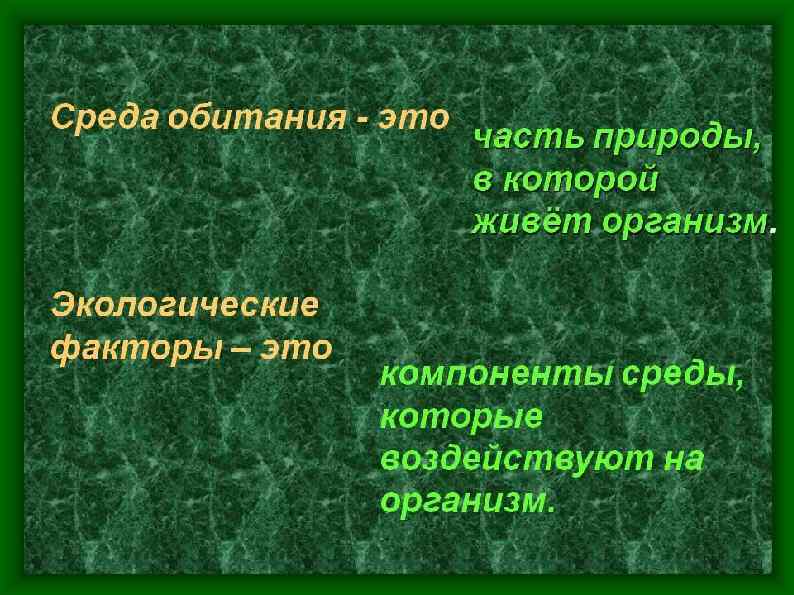 Потенциальные альтернативы Обозначьте альтернативные стратегии Опишите “за” и “против” каждой стратегии Предоставьте прогноз затрат