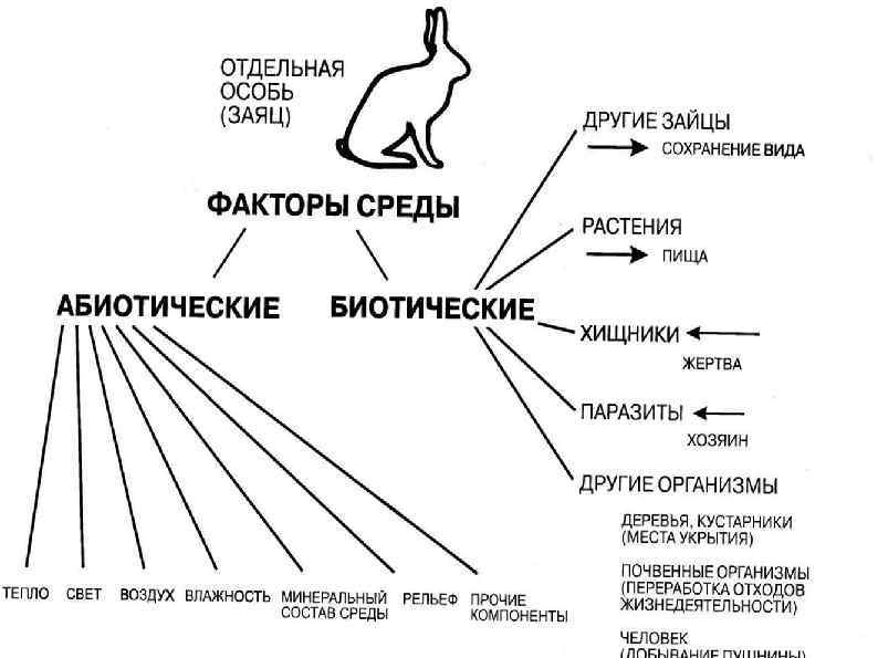 Рекомендации Предложите одну или несколько стратегий Дайте обзор ожидаемых результатов Обозначьте дальнейшие шаги Распределите
