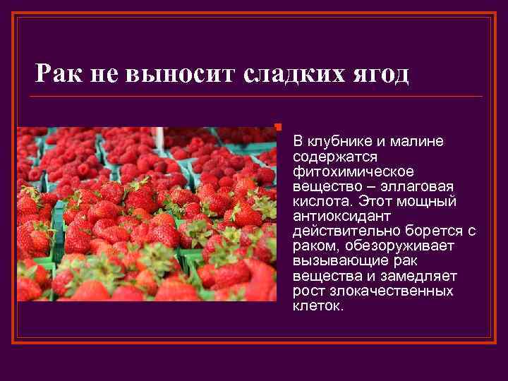 Рак не выносит сладких ягод n В клубнике и малине содержатся фитохимическое вещество –
