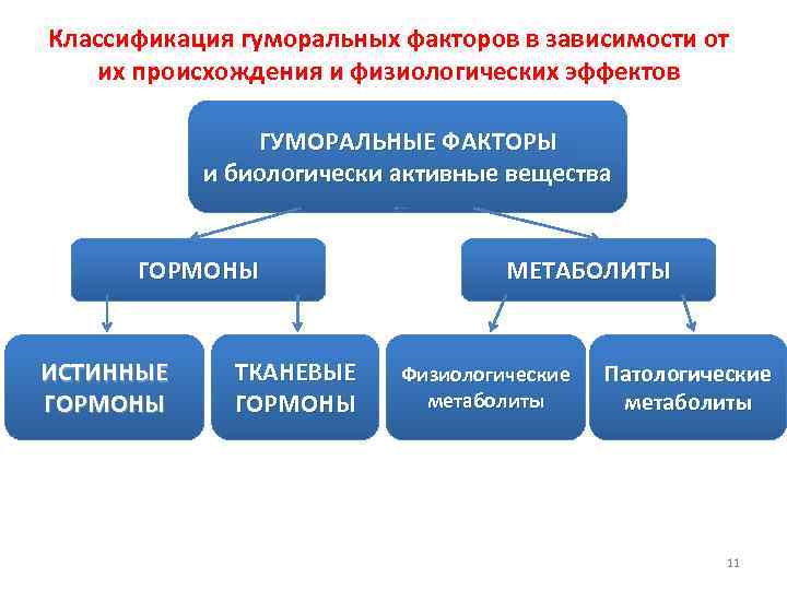 Классификация гуморальных факторов в зависимости от их происхождения и физиологических эффектов ГУМОРАЛЬНЫЕ ФАКТОРЫ и