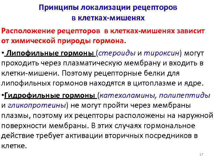 Принципы локализации рецепторов в клетках-мишенях Расположение рецепторов в клетках-мишенях зависит от химической природы гормона.