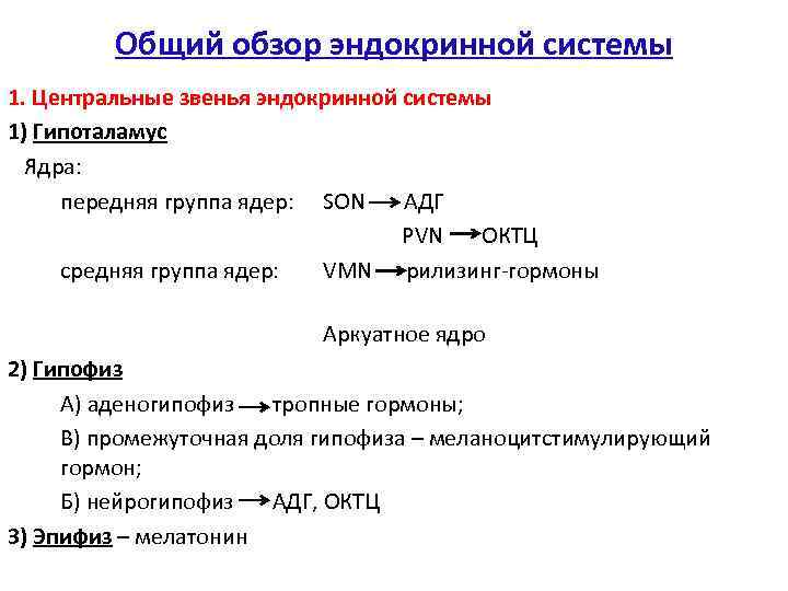 Общий обзор. Центральные и периферические звенья эндокринной системы. Центральное звено эндокринной системы. Эндокринные звена Центральная и периферическая. Назовите центральные звенья эндокринной системы.