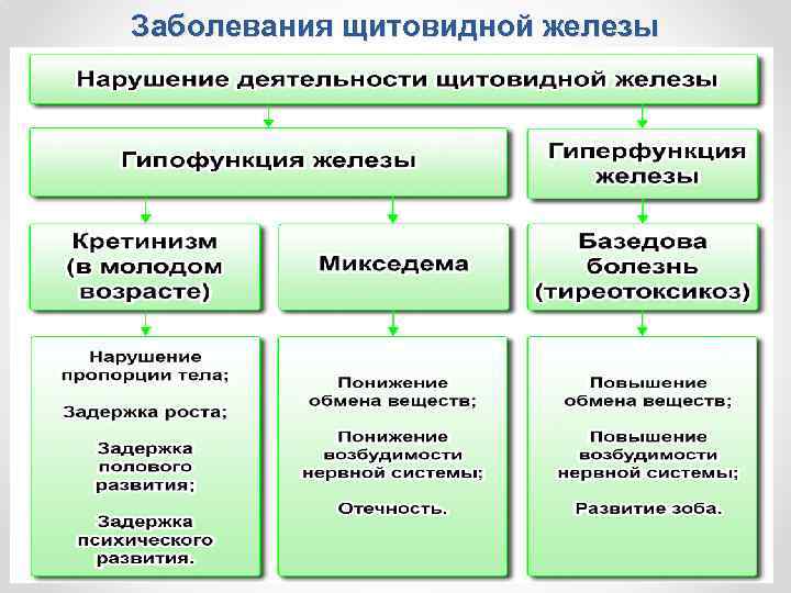 Заболевания щитовидной железы 33 