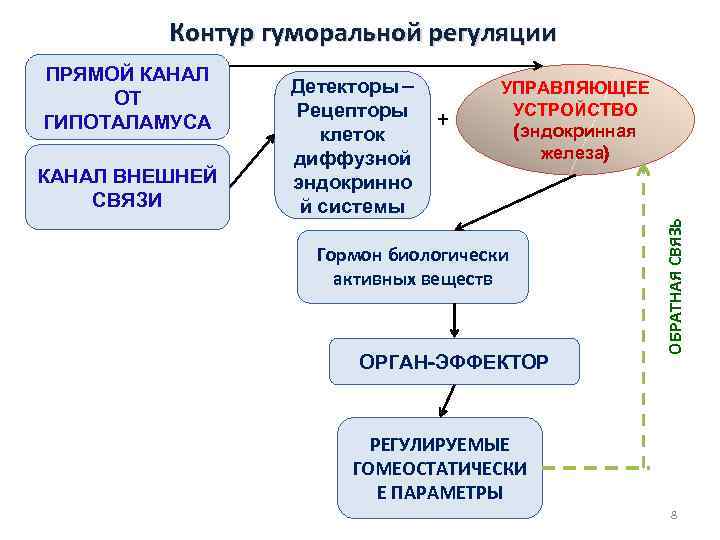 Контур гуморальной регуляции КАНАЛ ВНЕШНЕЙ СВЯЗИ Детекторы – Рецепторы клеток диффузной эндокринно й системы