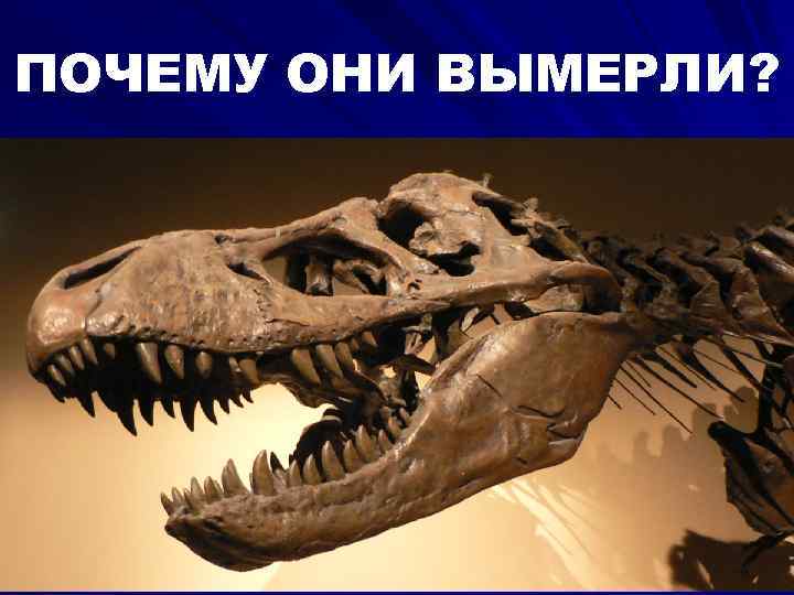 ПОЧЕМУ ОНИ ВЫМЕРЛИ? 