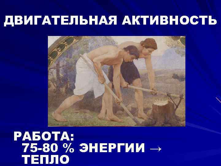 ДВИГАТЕЛЬНАЯ АКТИВНОСТЬ РАБОТА: 75 -80 % ЭНЕРГИИ → ТЕПЛО 