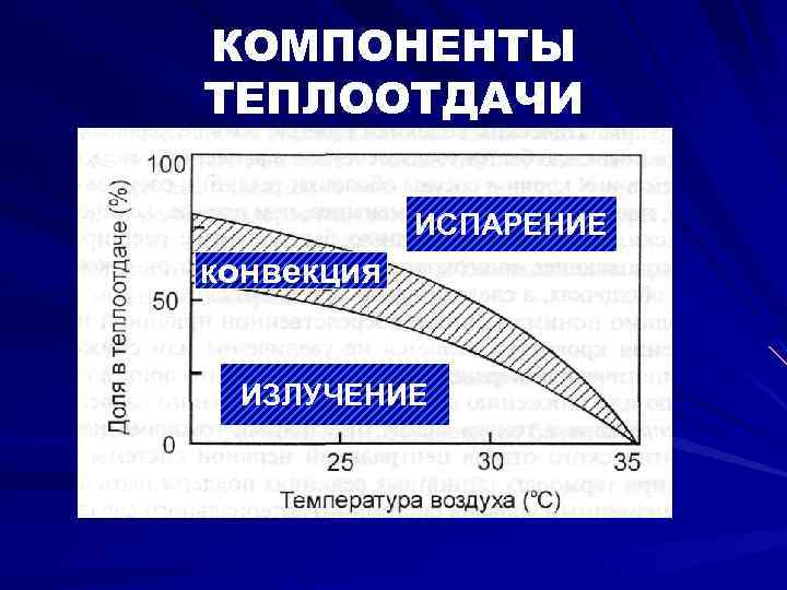 КОМПОНЕНТЫ ТЕПЛООТДАЧИ ИСПАРЕНИЕ конвекция ИЗЛУЧЕНИЕ 