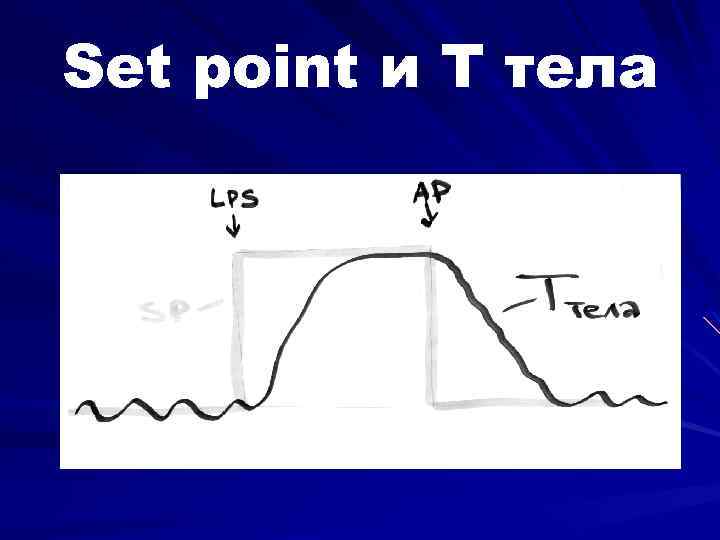 Set point и Т тела 