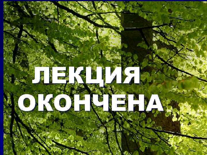 ЛЕКЦИЯ ОКОНЧЕНА 