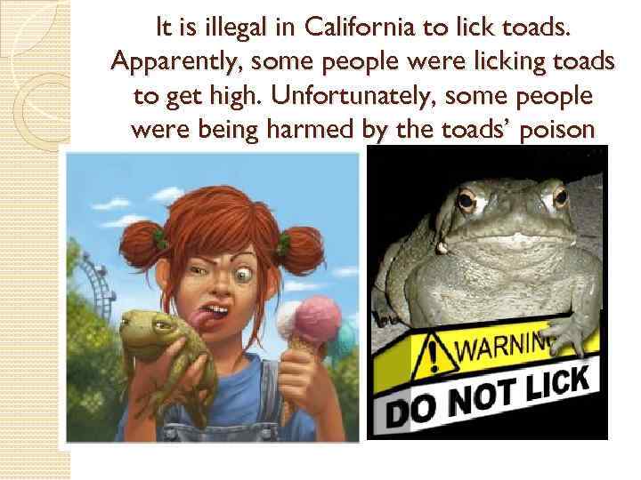 It is illegal in California to lick toads. Apparently, some people were licking toads