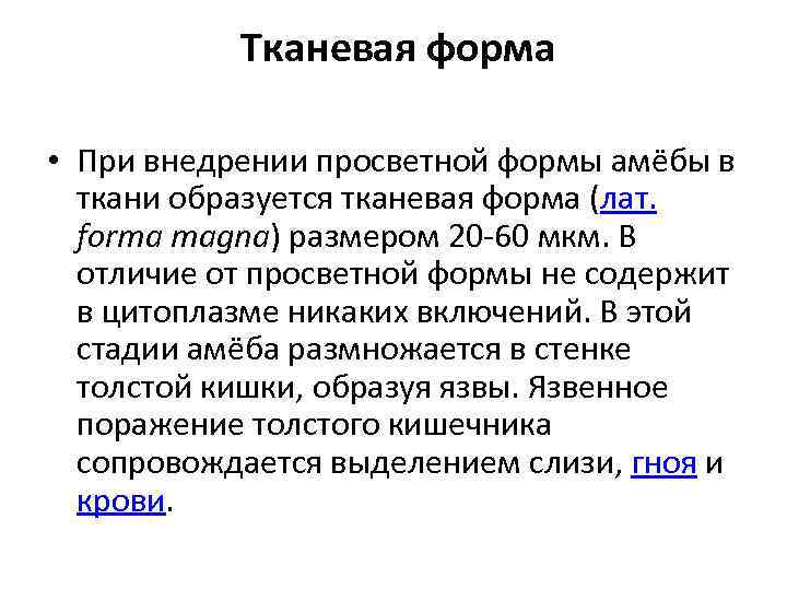 Тканевая форма • При внедрении просветной формы амёбы в ткани образуется тканевая форма (лат.