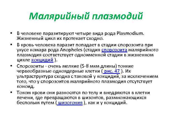 Малярийный плазмодий • В человеке паразитируют четыре вида рода Plasmodium. Жизненный цикл их протекает