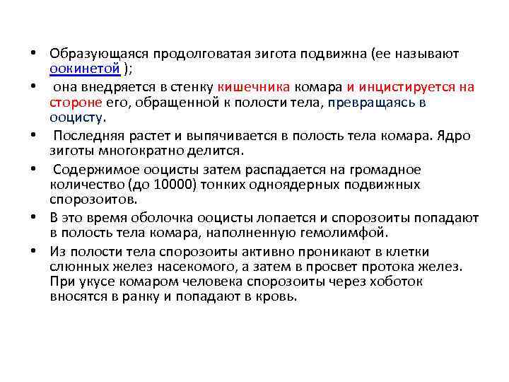  • Образующаяся продолговатая зигота подвижна (ее называют оокинетой ); • она внедряется в