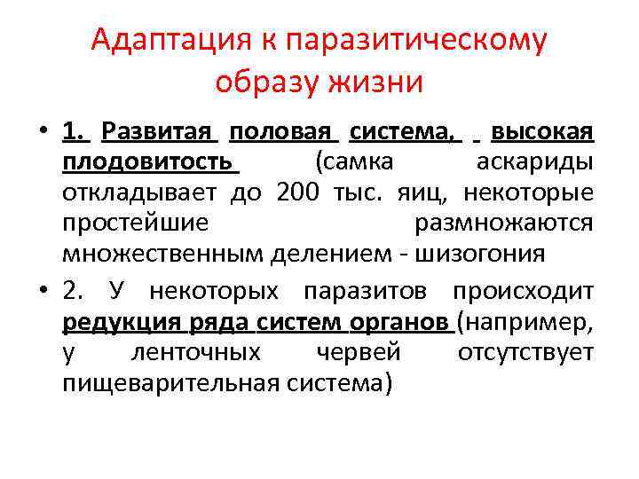 Адаптация к паразитическому образу жизни • 1. Развитая половая система, высокая плодовитость (самка аскариды