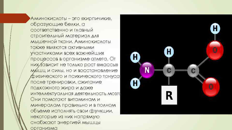 Аминокислоты это простыми словами. Аминокислоты это. Аминокислоты кирпичики. Аминокислоты это в биологии.