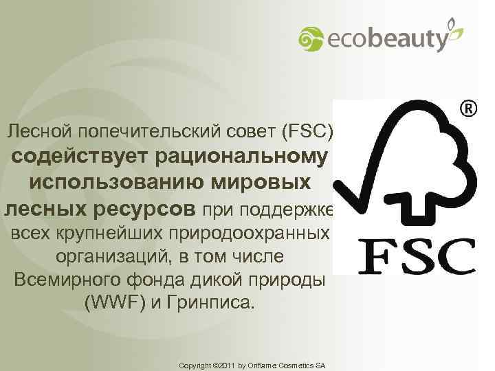Лесной попечительский совет (FSC) содействует рациональному использованию мировых лесных ресурсов при поддержке всех крупнейших