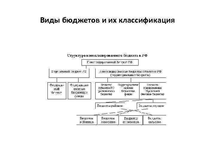 Виды бюджетов и их классификация 