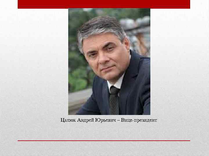 Цалюк Андрей Юрьевич – Вице-президент 
