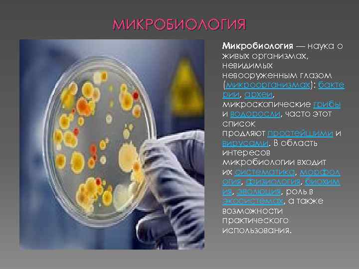 МИКРОБИОЛОГИЯ Микробиология — наука о живых организмах, невидимых невооруженным глазом (микроорганизмах): бакте рии, археи,