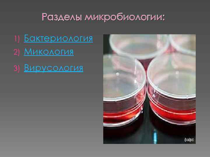 Разделы микробиологии: Бактериология 2) Микология 1) 3) Вирусология 