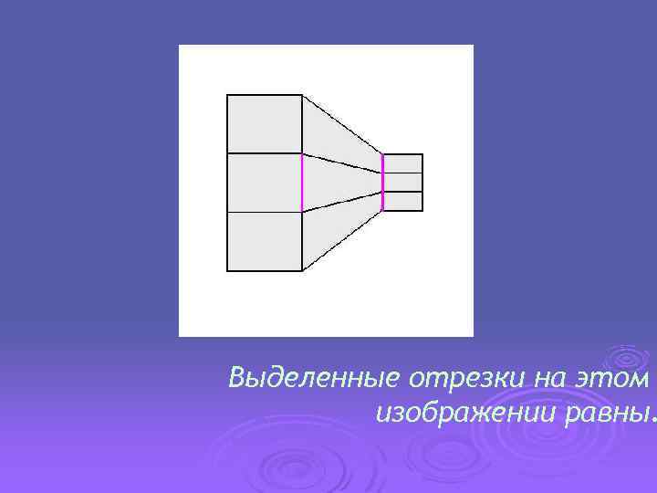 Выделенные отрезки на этом изображении равны. 