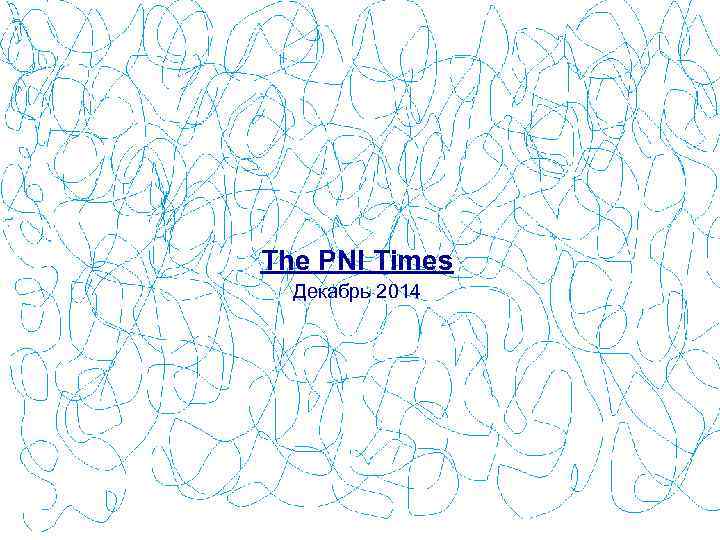 The PNI Times Декабрь 2014 