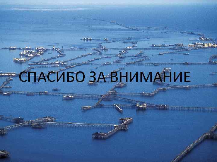 СПАСИБО ЗА ВНИМАНИЕ 