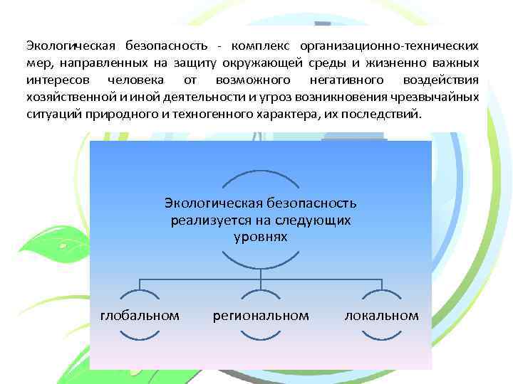 Экологическая безопасность - комплекс организационно-технических мер, направленных на защиту окружающей среды и жизненно важных