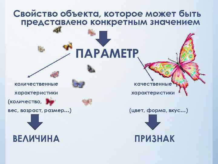 Свойство объекта, которое может быть представлено конкретным значением ПАРАМЕТР количественные качественные характеристики (количество, вес,