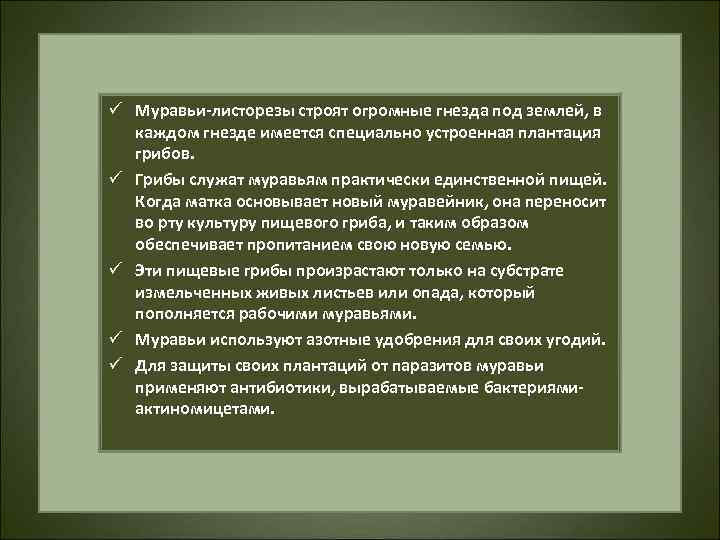 ü Муравьи-листорезы строят огромные гнезда под землей, в каждом гнезде имеется специально устроенная плантация