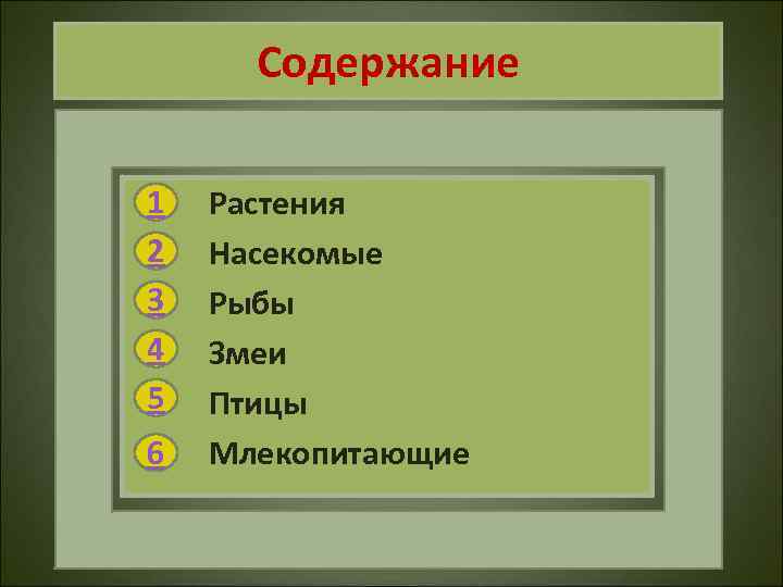 Содержание 1 2 3 4 5 6 Растения Насекомые Рыбы Змеи Птицы Млекопитающие 