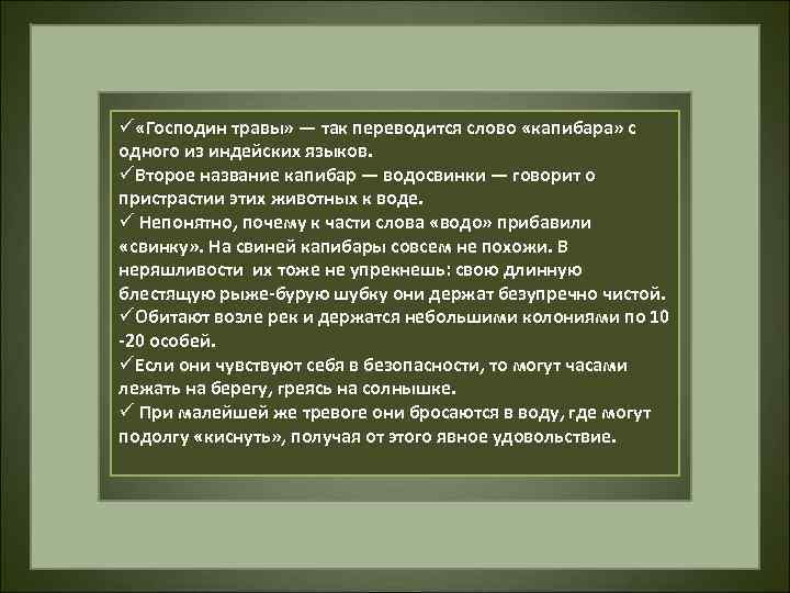 ü «Господин травы» — так переводится слово «капибара» с одного из индейских языков. üВторое